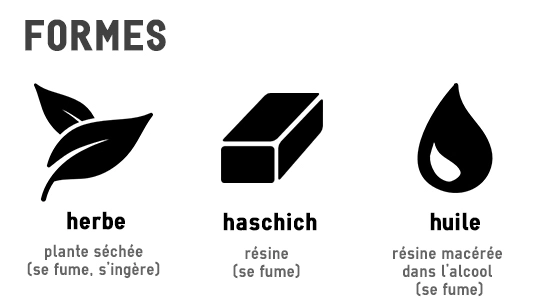 cannabis produit drogue infor drogues addictions