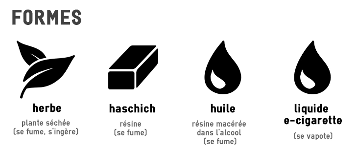 cannabis formes produit drogue drogues addictions